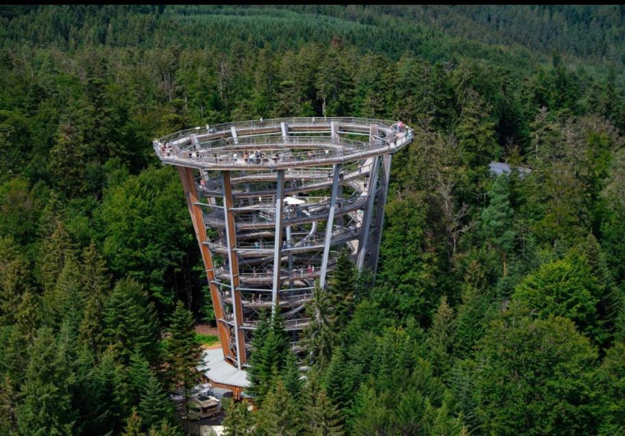 Viva La Wildbad Apartment บาดวิลด์บาด ภายนอก รูปภาพ