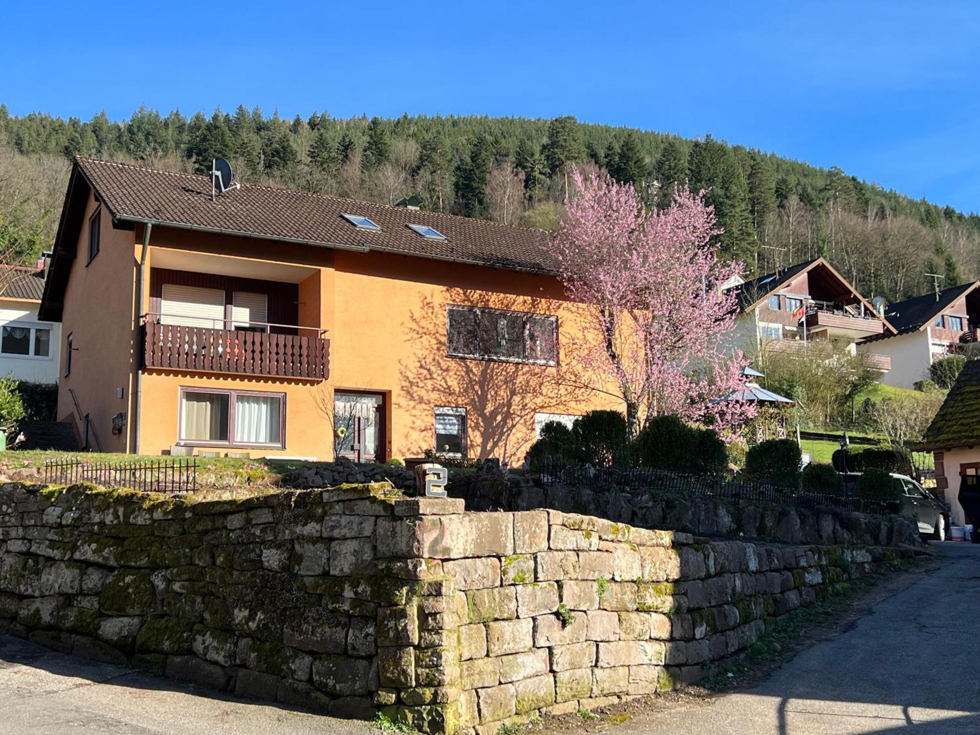 Viva La Wildbad Apartment บาดวิลด์บาด ภายนอก รูปภาพ