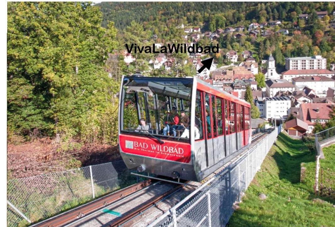 Viva La Wildbad Apartment บาดวิลด์บาด ภายนอก รูปภาพ